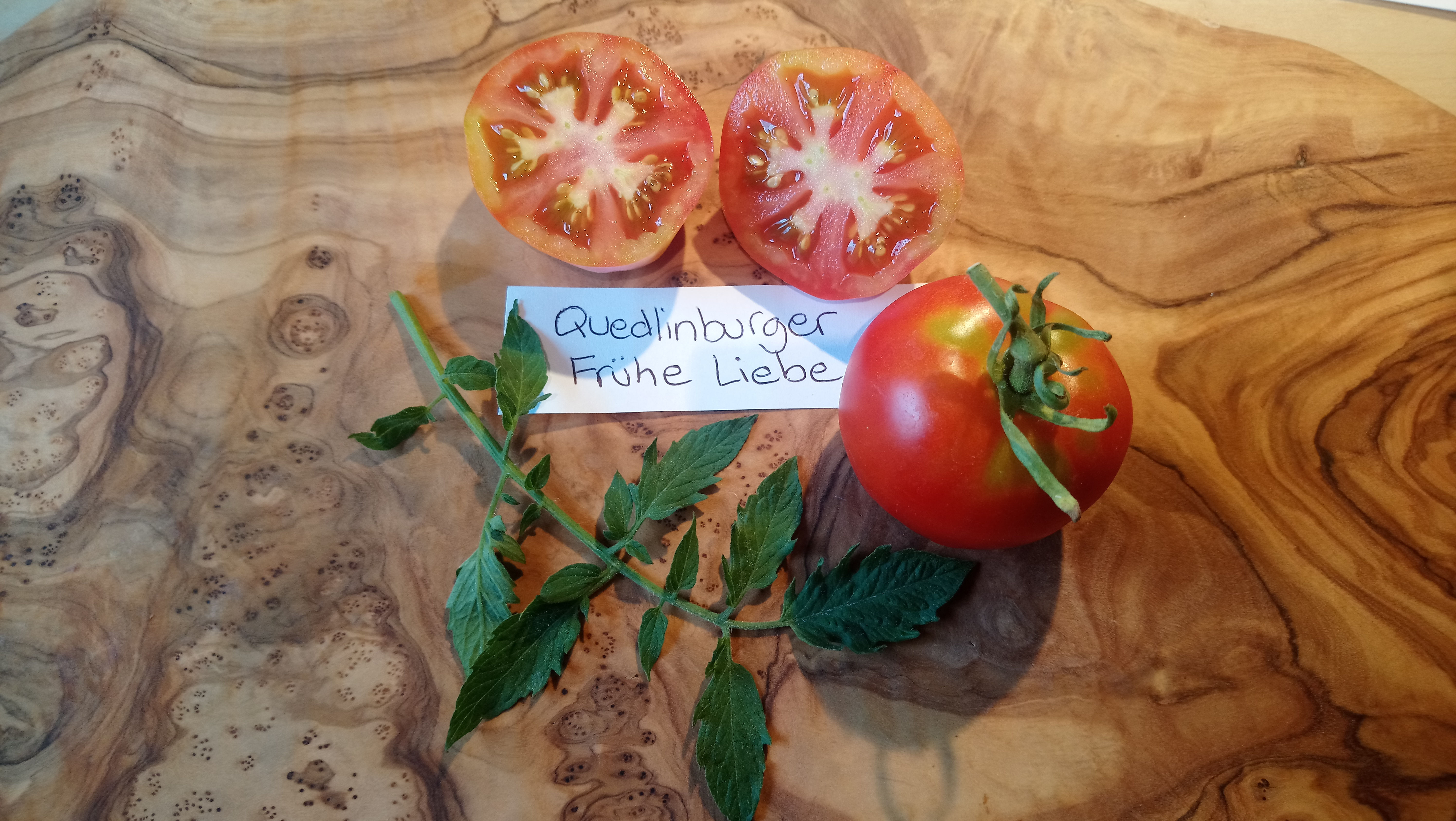 Tomate "Quedlingburger frühe Liebe"