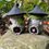 Thumbnail: Pink Thorn Witches Cottage