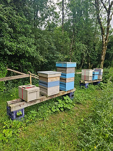 20250627_170113.jpg