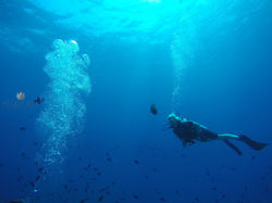 Scuba Diving | Acua Blu Rasdhoo
