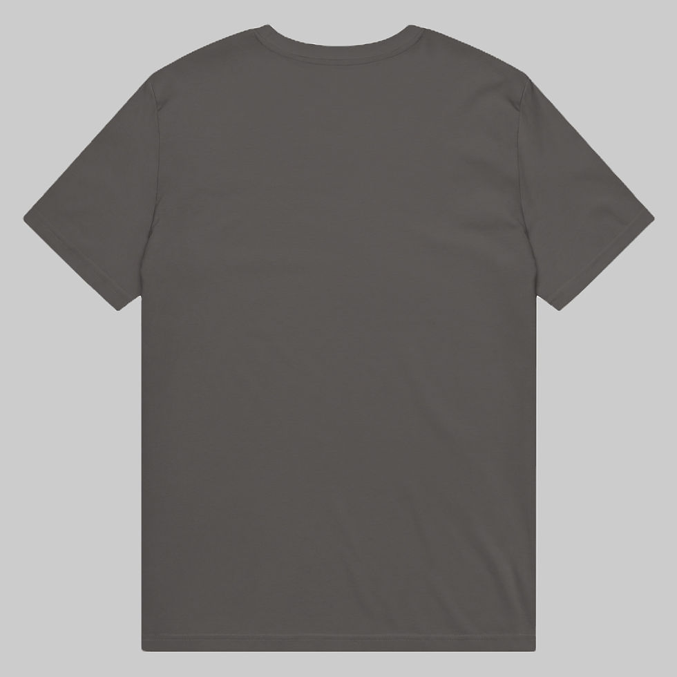 LEVE BLIDT Signature Everyday organic cotton t shirt in Anthracite, back view