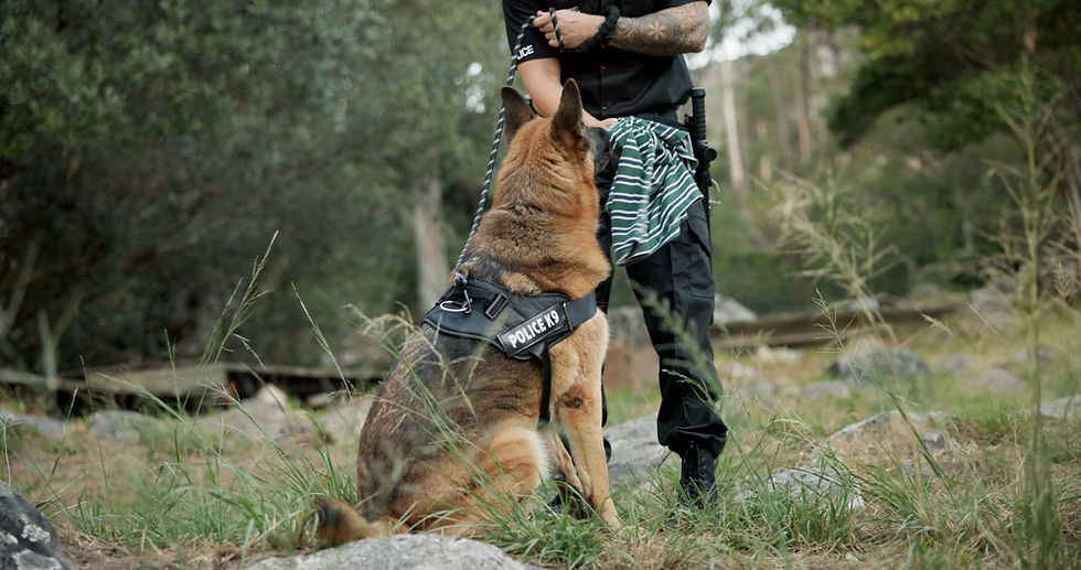 policeman-sniffer-dog-WEB.jpg
