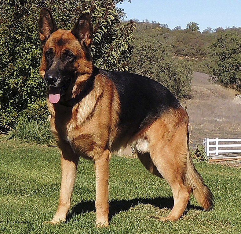 Khaos Von Salerno ARES