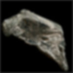 Li.23.08 (0.26% Li) 25g