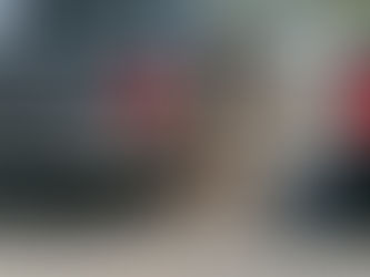 How Do I Fix My Dog’s Detection Issues?