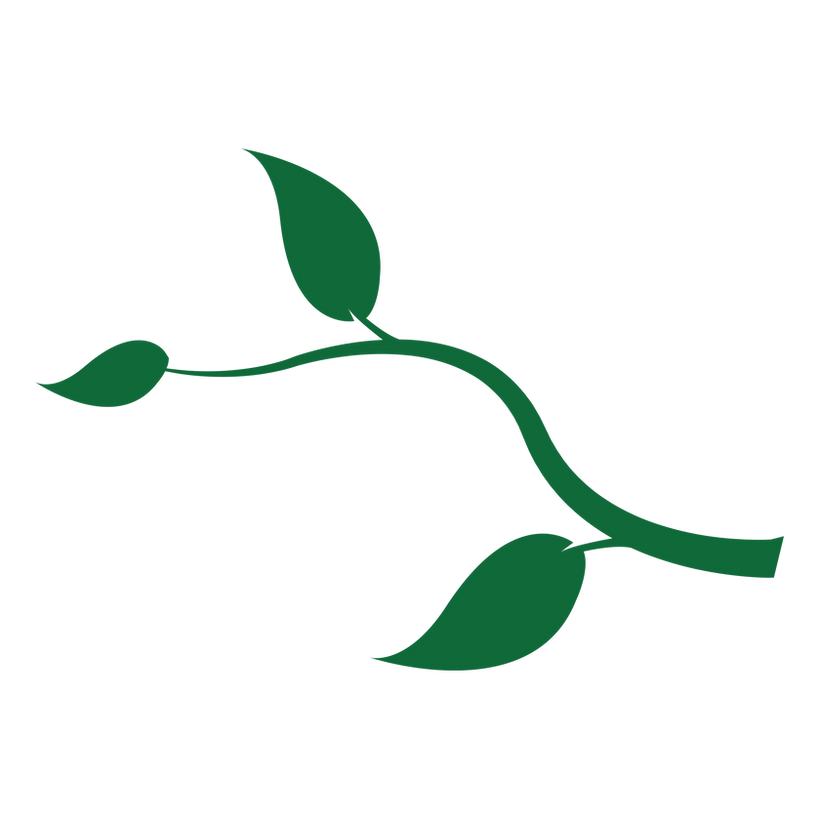 breath of life botanicals