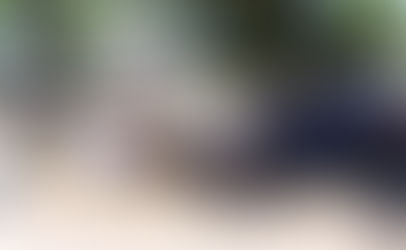 Earth Day at the Bisbee Farmers Market