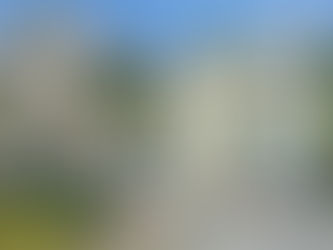 Hampson Street Project 