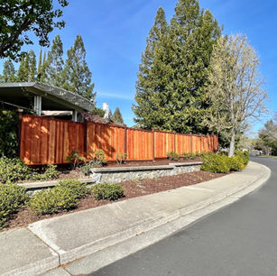Redwood Fences 