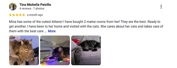 Read real customer reviews of Enchanted Kittens and see why families trust us for Maine Co