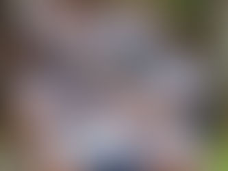 Das Music Camp 2019 Ends with a Flourish!