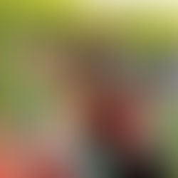 July Tour Pics (Part 2) | Aug. 1, 2022