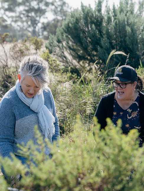 ABC-GardeningAustralia_03.jpg