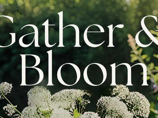 Embracing the Art of Gathering: A Journey to Nurturing Spaces