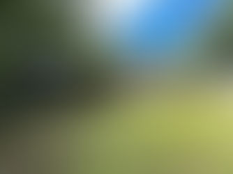 Gray house with large windows surrounded by lush greenery, under a bright blue sky with clouds. Peaceful garden setting.