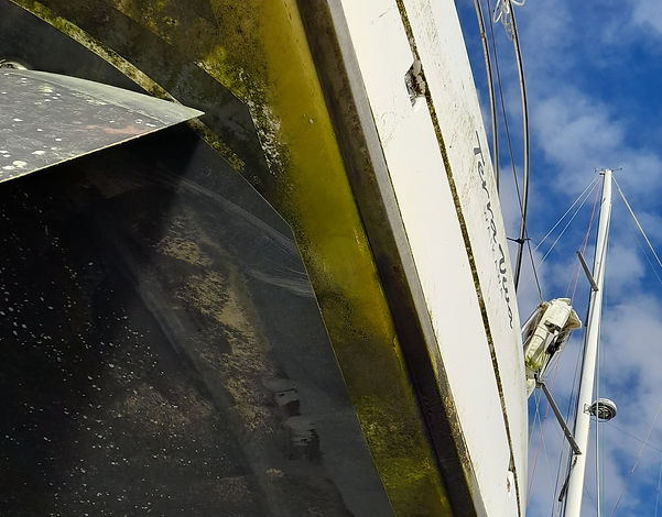 Full boat detail by Total Yacht Care NZ