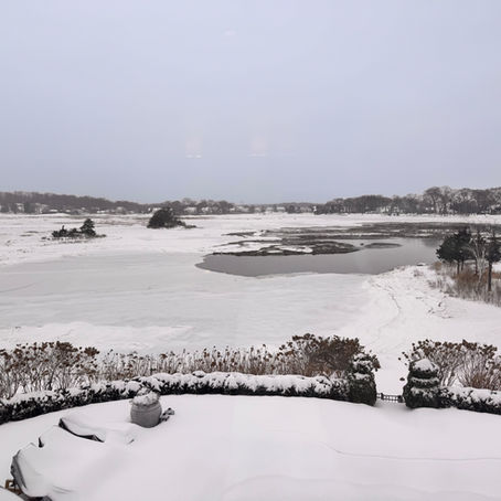 The Eleventieth Day of Snow