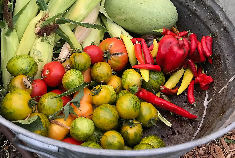 fruits_and_veggies_hq_edited.jpg