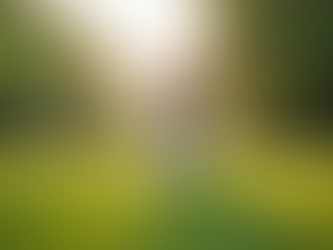 How Compassionate Paw Alliance Helps Your Pets