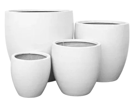 Thumbnail: Montague Egg