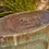 Thumbnail: Nexus Fountain