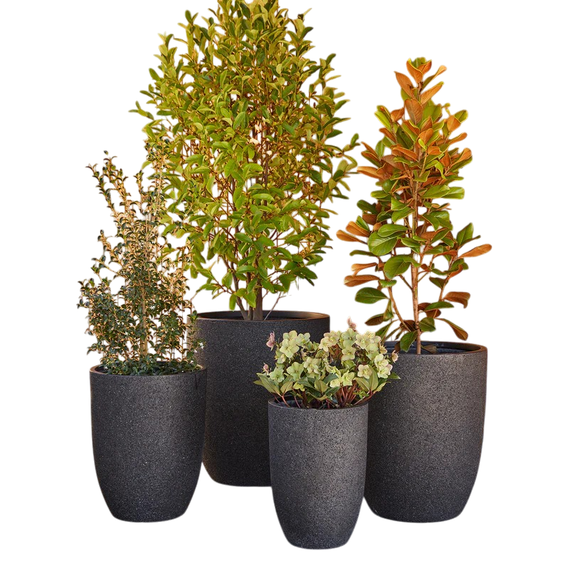 Thumbnail: Chambers U Pot