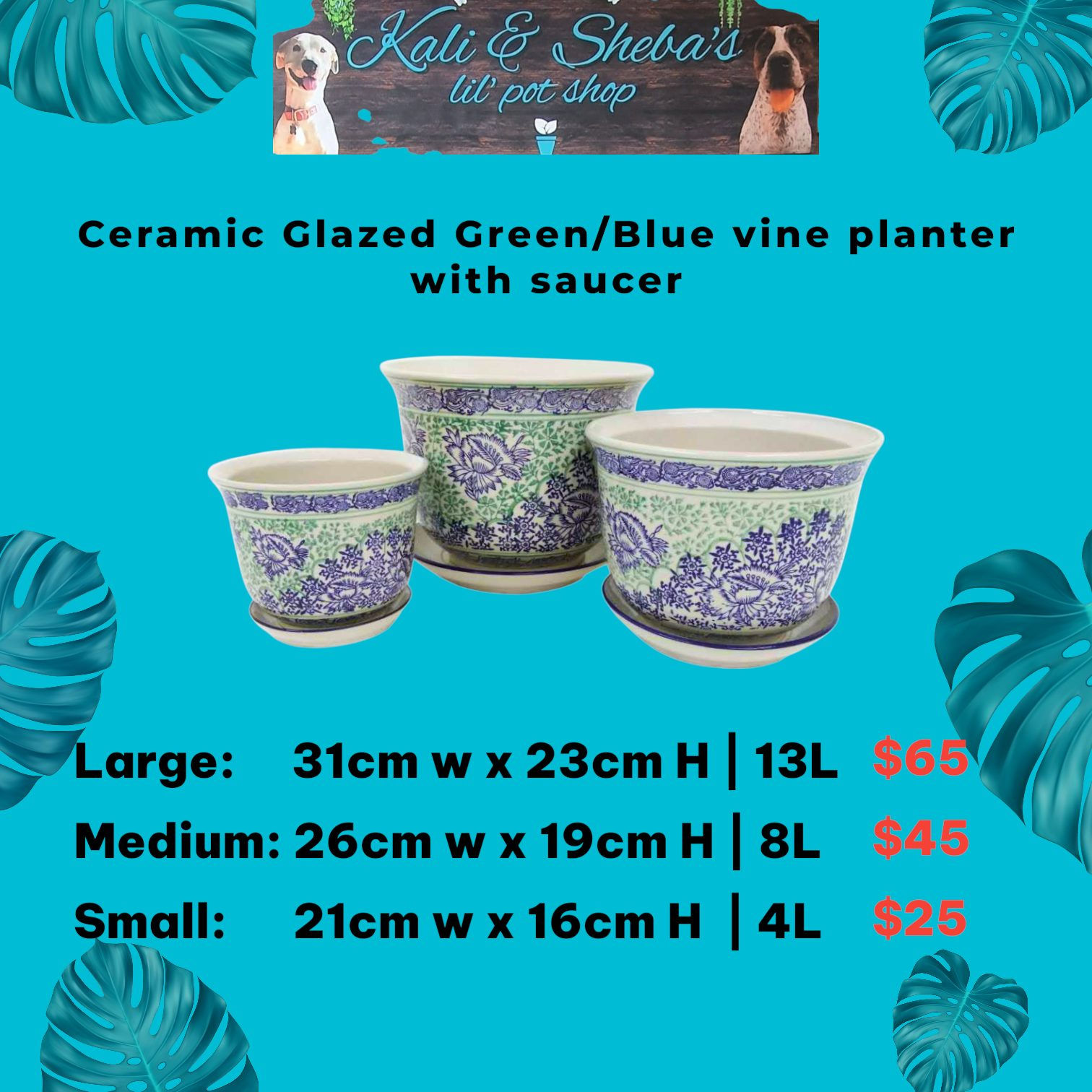 Ceramic Glazed Pot & Saucer