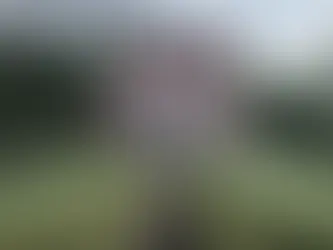 Why Old Homes Still Feel So Good