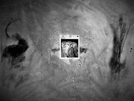 09/05/2021. WARNING: This Video Contains Graphic Images (Poem).