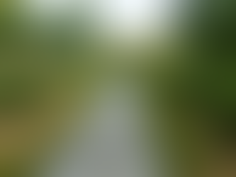 Les conséquences de la découverte d’une servitude après la signature d’un contrat de vente.