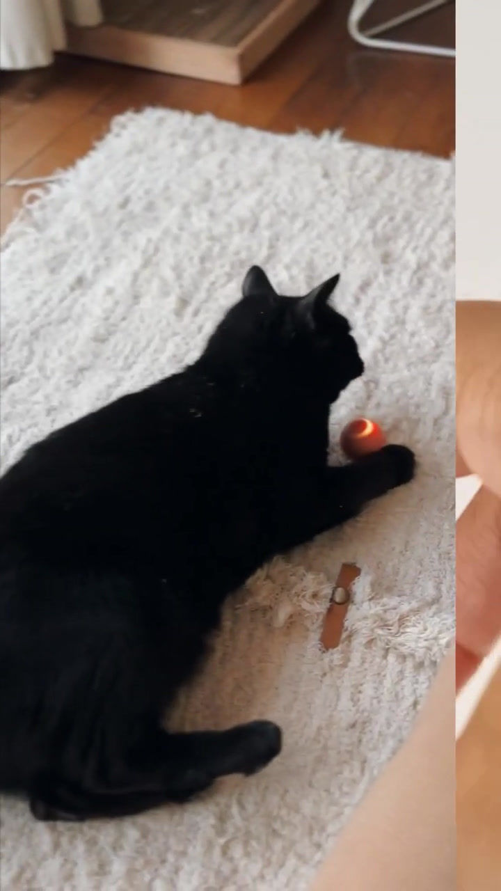 Miniatura: Pelota Interactiva de Luces y Golpeteo