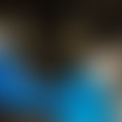 Toxicidad, alergias y riesgos de los antiparasitarios