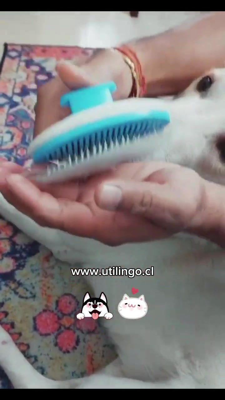 Miniatura: Peine Aguja para Pelo