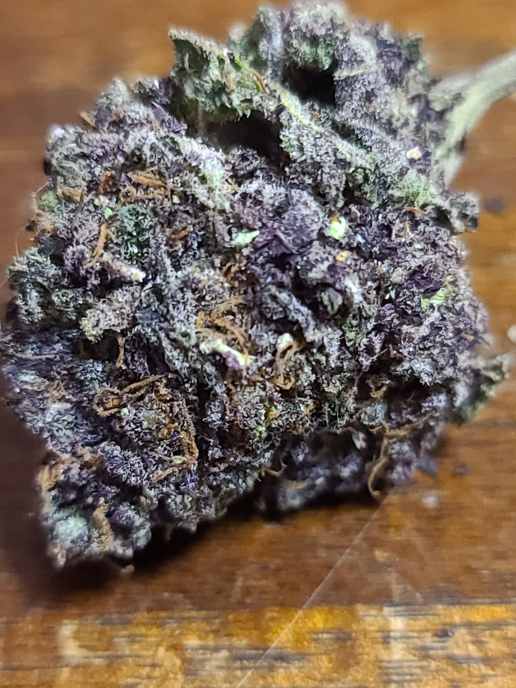 Michigan Marijuana Seed Club Our Strains (Seeds)