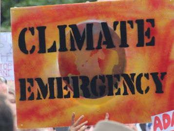 Stampa - Dichiarazione di emergenza climatica a Fusignano