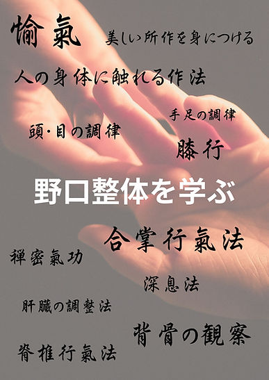 野口整体を学ぶ.jpeg