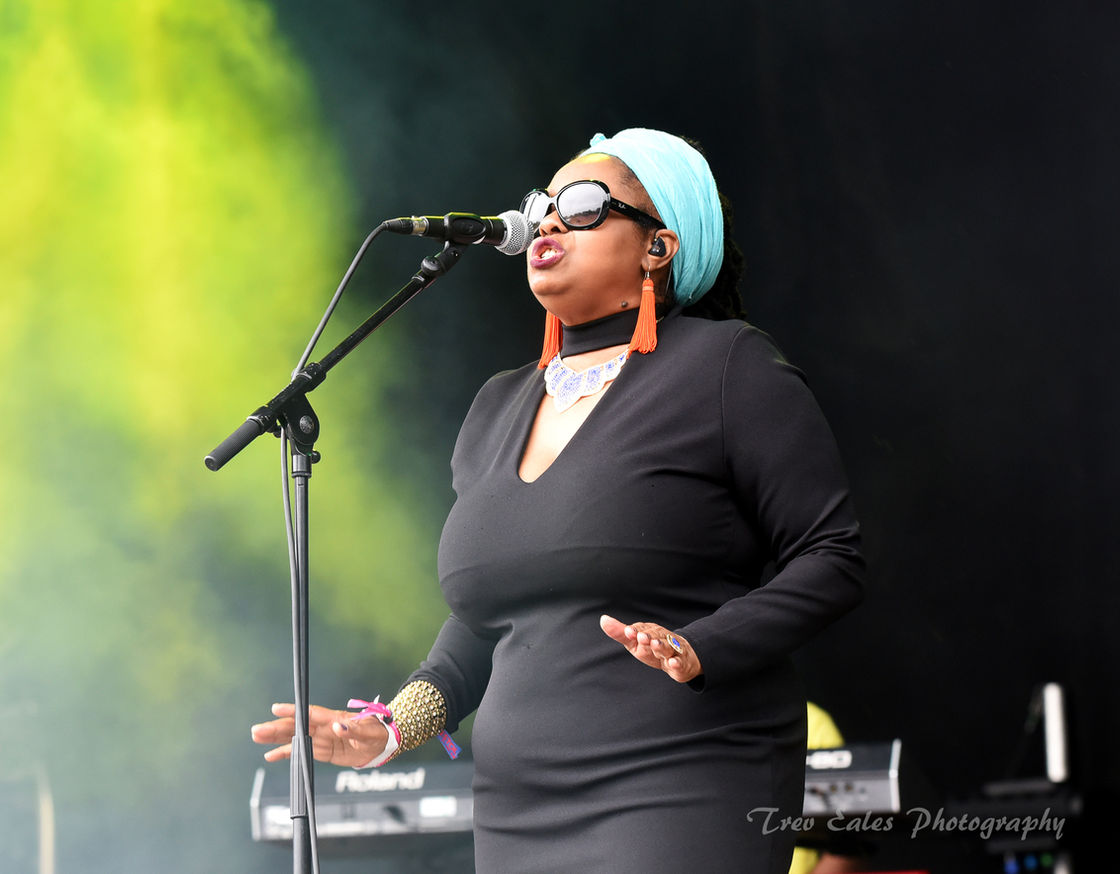 Caron Wheeler, Soul 11 Soul