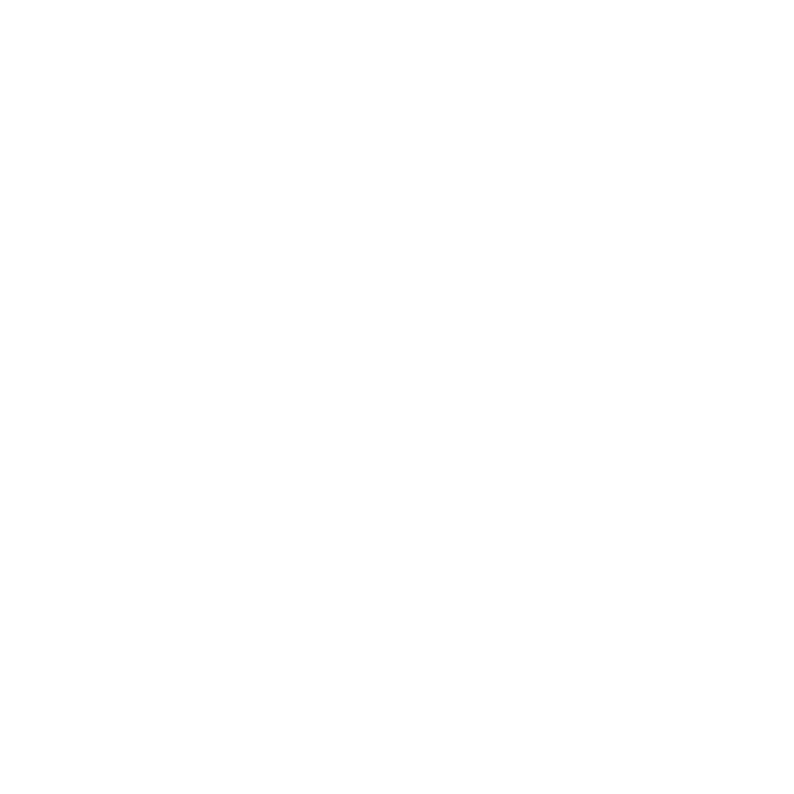 Northeast Acquirers NEAA Logo WHITE AND TRANSPARENT.png