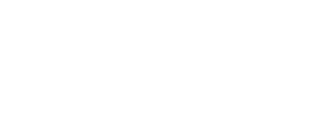 TN State Chapter Logo w_ NABIP Name.png
