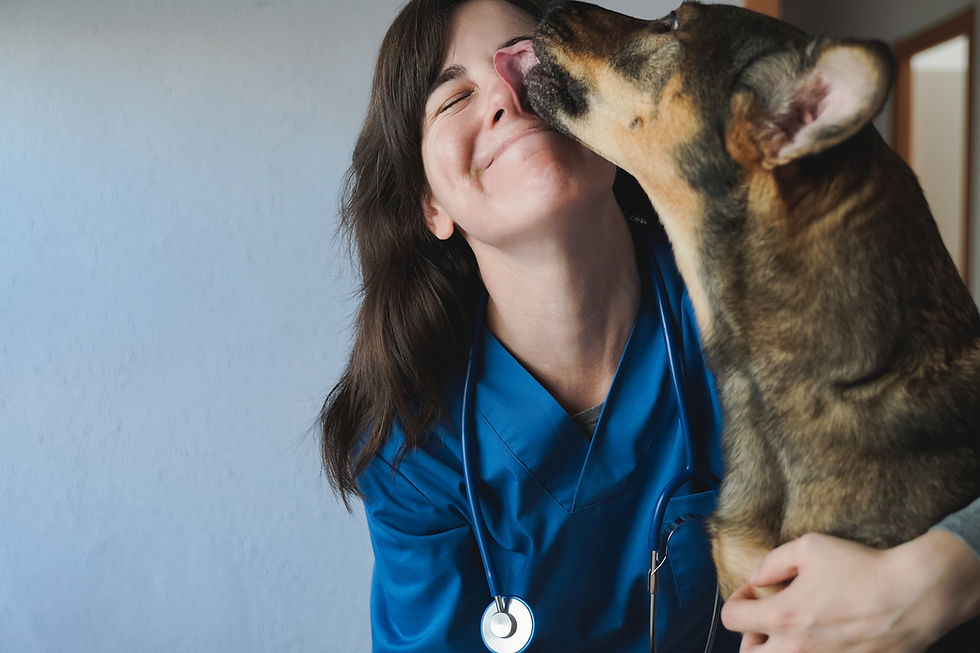 happy-stray-dog-licking-vet-woman-doctor-face-insi-2026-01-08-05-28-05-utc.jpg