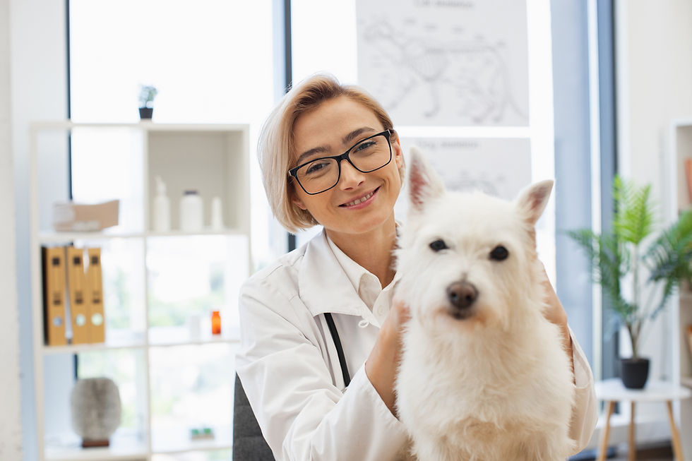 veterinarian-examining-white-dog-during-routine-ch-2026-01-09-10-00-52-utc.jpg