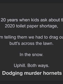 Toilet Paper in a Pinch