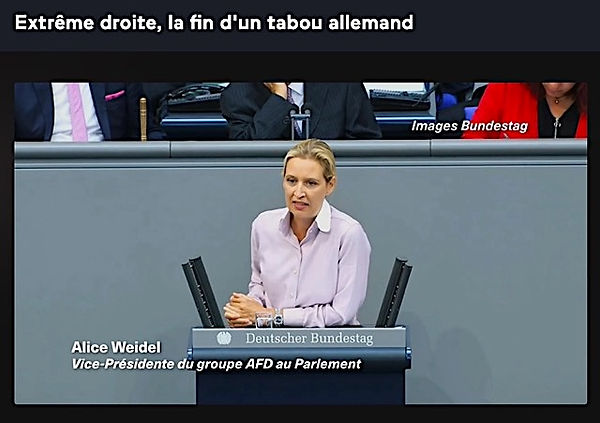 Extrême droite la fin d'un tabou allemand.jpeg