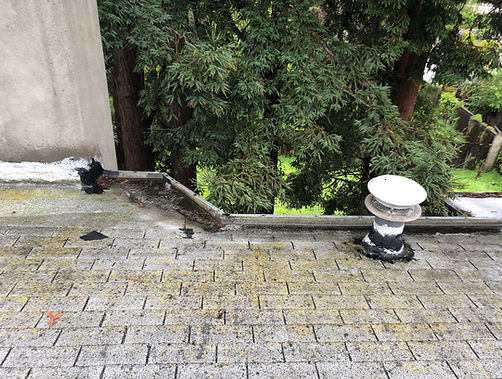 South roof-3.jpeg