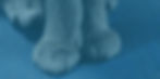 bgImage_edited_edited.jpg