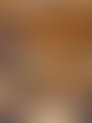 El precio de la patria Pedro Nel Gómez por BEATRIZ GONZALEZ 