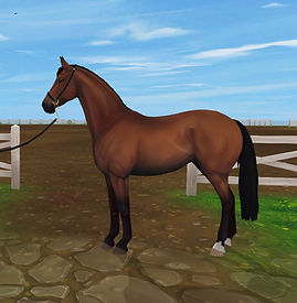 Schmetterling Wianda