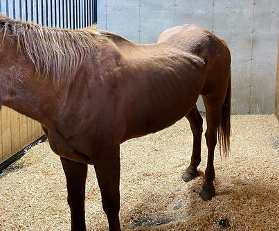 521321782_23925556867066508_7874628539657891720_n.jpg__nc_cat=106&ccb=1-7&_nc_sid=9f807c&_