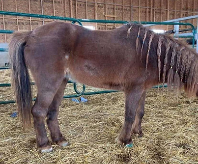 514027162_692486277122307_995043998522055416_n.jpg__nc_cat=108&ccb=1-7&_nc_sid=9f807c&_nc_