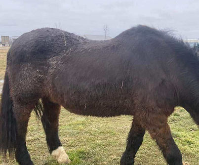 521554384_1246320089997097_7588181440529976930_n.jpg__nc_cat=100&ccb=1-7&_nc_sid=9f807c&_n